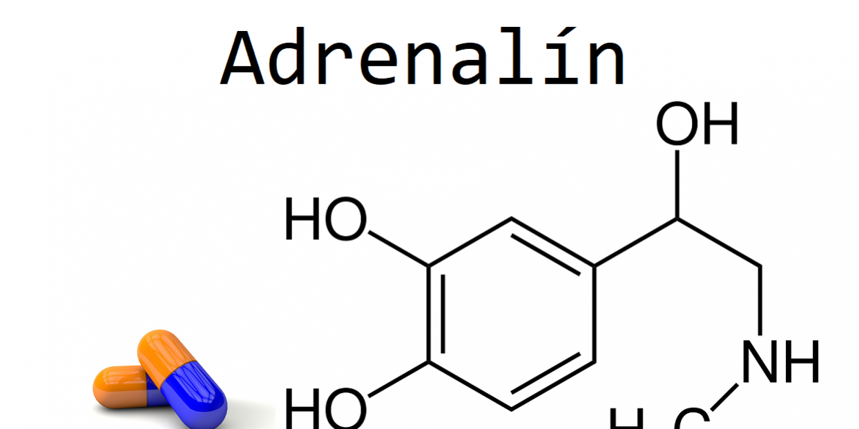 Adrenalin