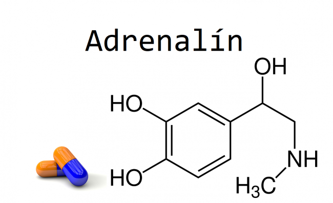 Adrenalin Adrenalin