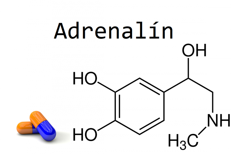 Adrenalin Adrenalin