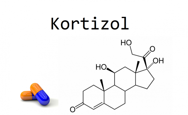 kortizol kortizol