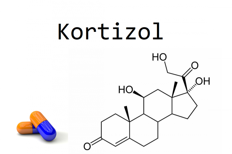 kortizol