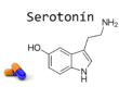 serotonin