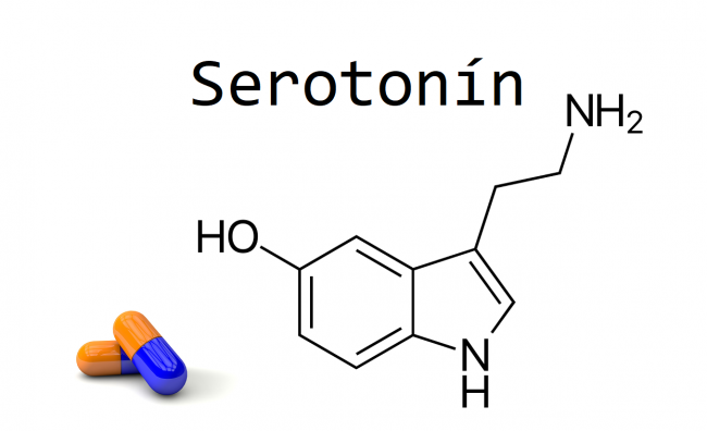 serotonin serotonin