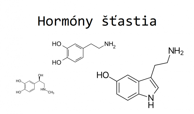 hormon štěstí hormon štěstí