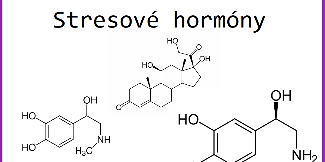 stresové hormony