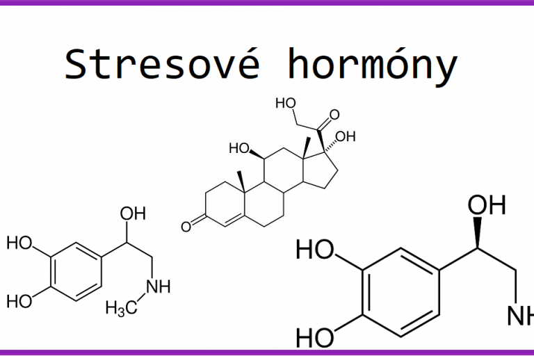 stresové hormony stresové hormony