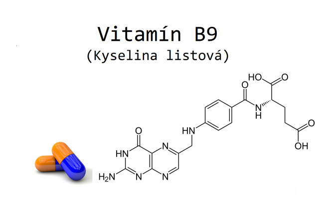kyselina listová vitamin b9