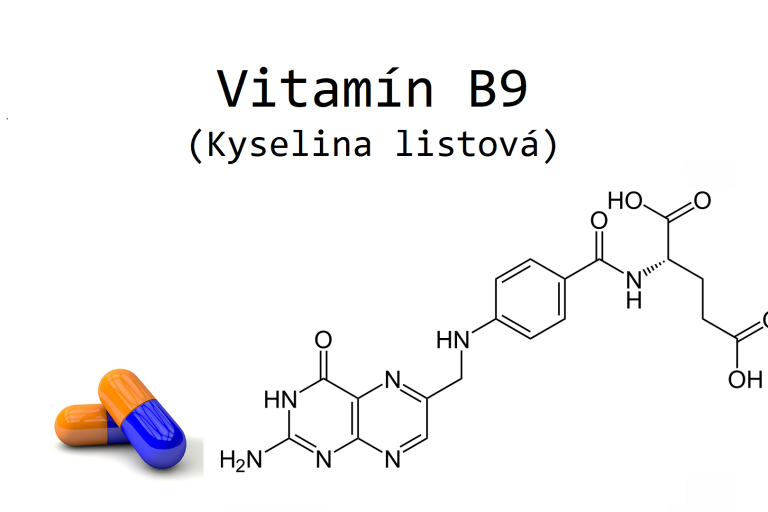 kyselina listová vitamin b9