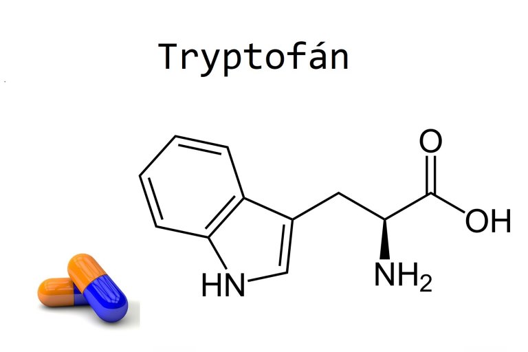 tryptofan zkušenosti tryptofan zkušenosti