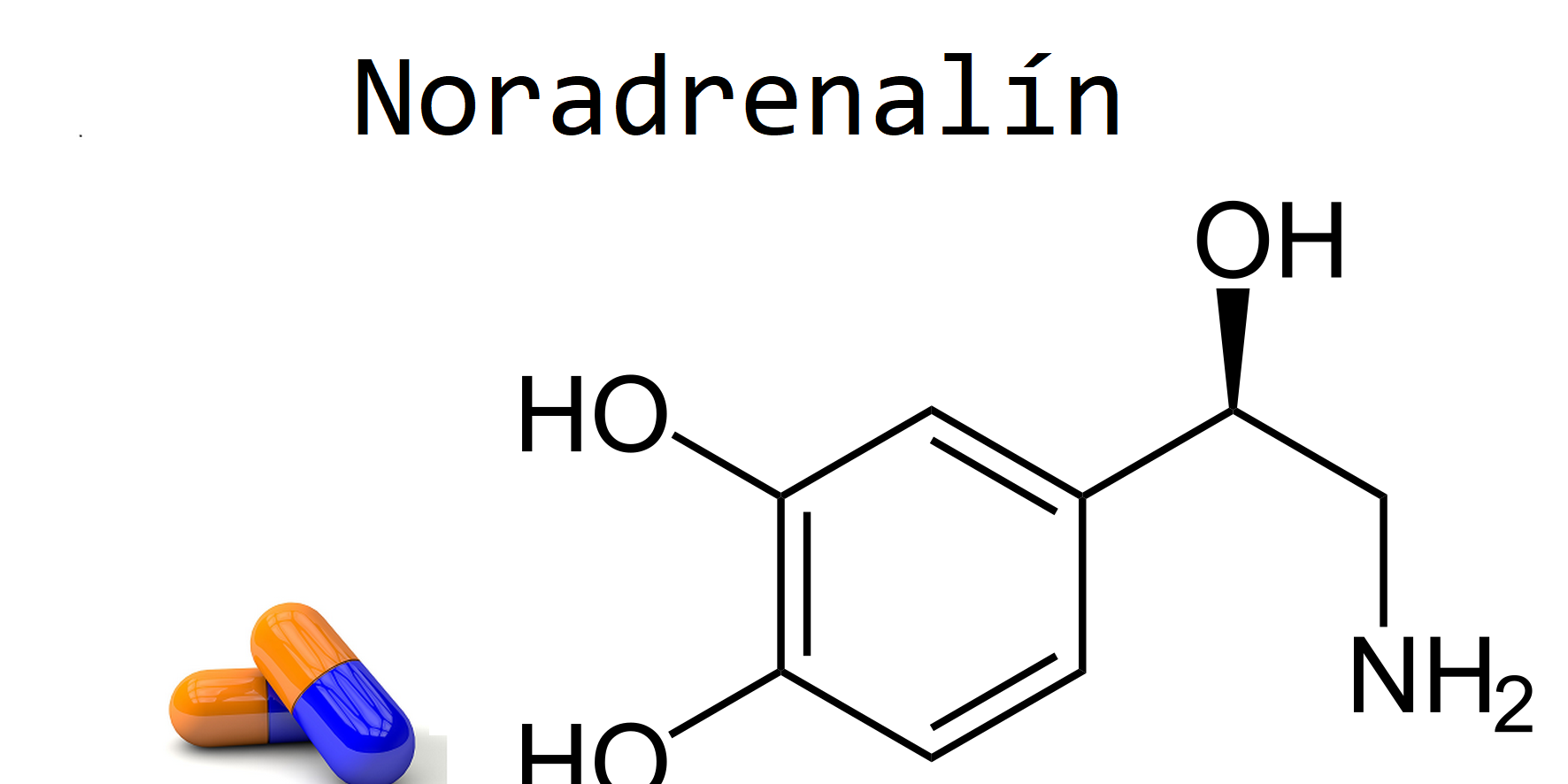 noradrenalin noradrenalin