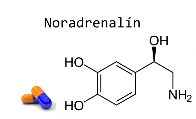 noradrenalin noradrenalin