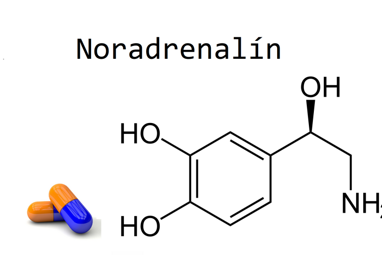 noradrenalin noradrenalin